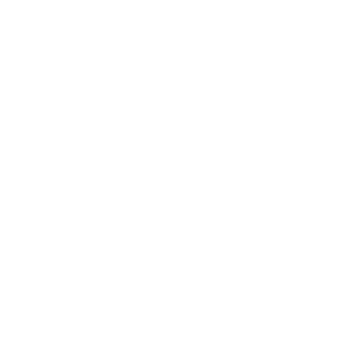 Technology Partner