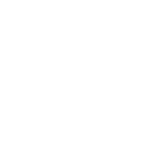 Technology Partner